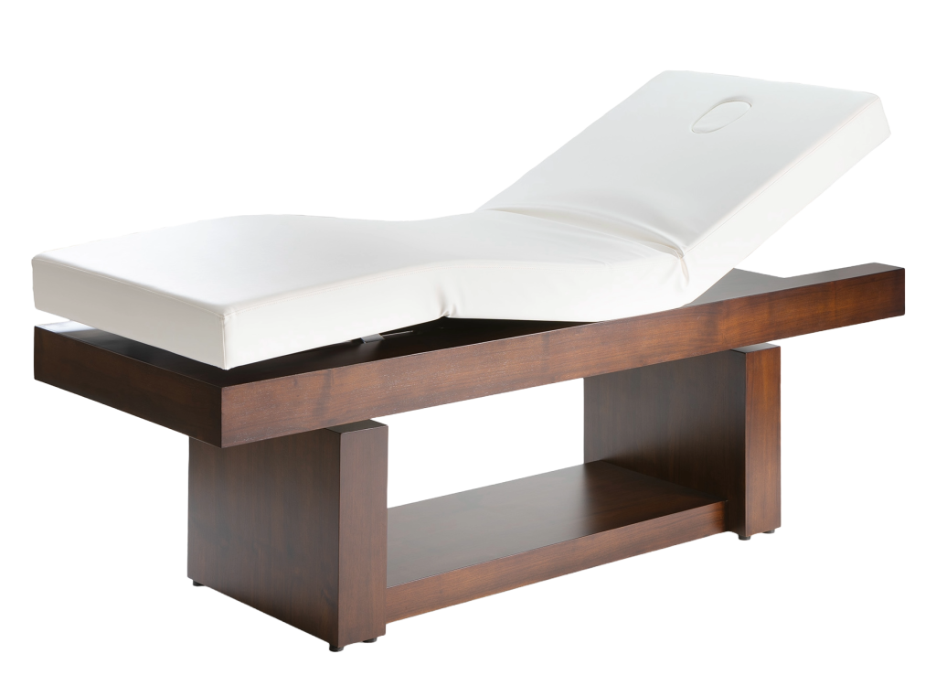 Manak Electric Spa Massage Table