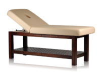 Featured here is Esthetica Mangal Facial Cum Massage Bed