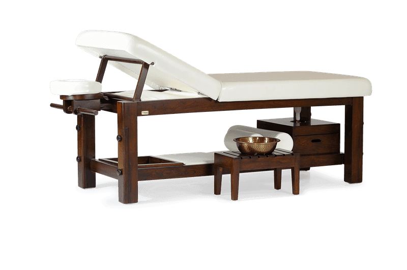 Know The Need for Buying a Quality Facial Bed For Your Spa Esthetica