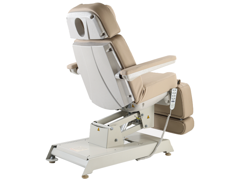 Mridul Derma Chair