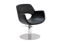 Styling Chair for Parlor