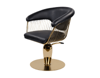Styling Chair hair